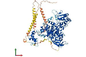 AlphaFold protein structure predicition of Mouse Recombinant Mgat5b Protein, UniprotID Q765H6