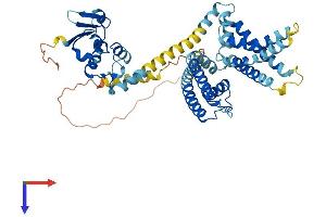 AlphaFold protein structure predicition of Human Recombinant KCNS3 Protein, UniprotID Q9BQ31