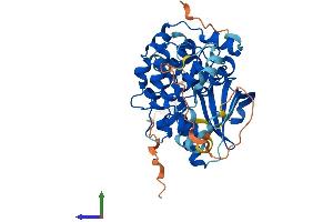 AlphaFold protein structure predicition of Mouse Recombinant Map2k2 Protein, UniprotID Q63932