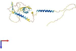 AlphaFold protein structure predicition of Human Recombinant LYSMD4 Protein, UniprotID Q5XG99