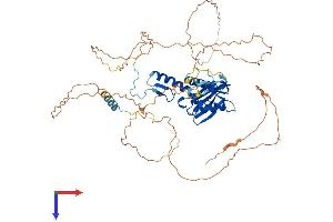 AlphaFold protein structure predicition of Human Recombinant ESCO2 Protein, UniprotID Q56NI9
