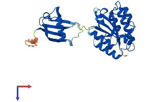 AlphaFold protein structure predicition of Mouse Recombinant Isoc1 Protein, UniprotID Q91V64