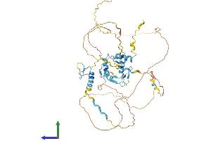 AlphaFold protein structure predicition of Mouse Recombinant Insm1 Protein, UniprotID Q63ZV0
