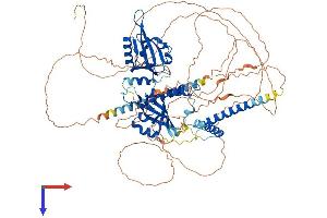 AlphaFold protein structure predicition of Human Recombinant CLOCK Protein, UniprotID O15516
