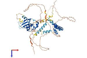 AlphaFold protein structure predicition of Human Recombinant HBP1 Protein, UniprotID O60381