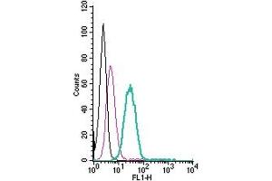 Cell surface detection of CX3CR1 by direct flow cytometry in live intact mouse  microglia cells: + Rabbit IgG Isotype Control-FITC (ABIN7582044).