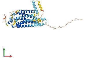 AlphaFold protein structure predicition of Mouse Recombinant S1pr4 Protein, UniprotID Q9Z0L1