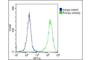 Overlay histogram showing Hela cells stained with (ABIN390742 and ABIN2841007)(green line).