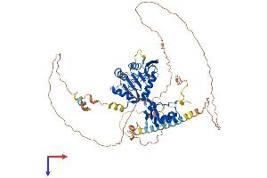 AlphaFold protein structure predicition of Human Recombinant FAM83D Protein, UniprotID Q9H4H8