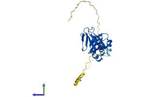 AlphaFold protein structure predicition of Mouse Recombinant Cenpv Protein, UniprotID Q9CXS4