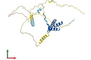 AlphaFold protein structure predicition of Mouse Recombinant Lbx1 Protein, UniprotID P52955