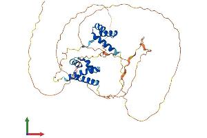 AlphaFold protein structure predicition of Human Recombinant POU2F3 Protein, UniprotID Q9UKI9