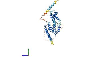 AlphaFold protein structure predicition of Human Recombinant MAGEB18 Protein, UniprotID Q96M61