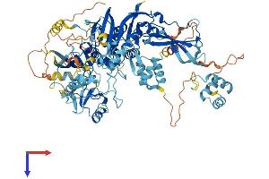 AlphaFold protein structure predicition of Human Recombinant USP13 Protein, UniprotID Q92995
