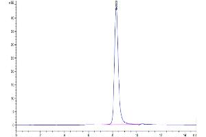 The purity of Biotinylated Human IL-3 R alpha is greater than 95 % as determined by SEC-HPLC.