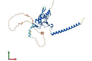 AlphaFold protein structure predicition of Human Recombinant RASSF2 Protein, UniprotID P50749