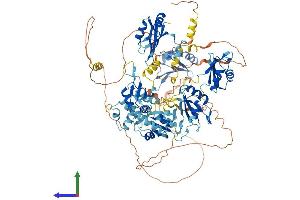 AlphaFold protein structure predicition of Mouse Recombinant Rbm19 Protein, UniprotID Q8R3C6