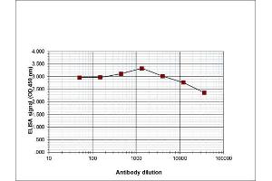 ELISA of anti-Histone H3 K27 me2 antibody ELISA results of Rabbit anti-Histone H3 K27 me2 antibody.