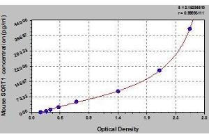 Typical standard curve (Sortilin 1 Kit ELISA)