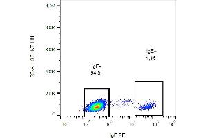 Flow cytometry analysis (surface staining) of IgE in human peripheral blood with anti-IgE (BE5) PE. (Souris anti-Humain IgE Anticorps (PE))