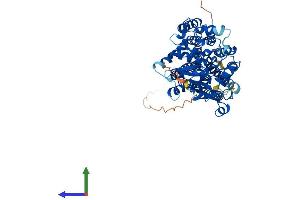 AlphaFold protein structure predicition of Mouse Recombinant Alg9 Protein, UniprotID Q8VDI9