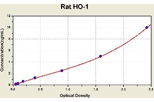 Diagramm of the ELISA kit to detect Rat HO-1with the optical density on the x-axis and the concentration on the y-axis. (HMOX1 Kit ELISA)