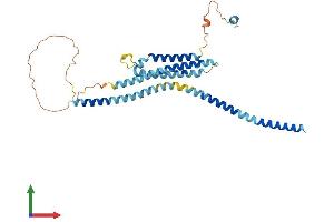 AlphaFold protein structure predicition of Mouse Recombinant Stx18 Protein, UniprotID Q8VDS8