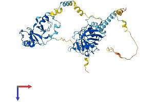AlphaFold protein structure predicition of Human Recombinant PPIL2 Protein, UniprotID Q13356