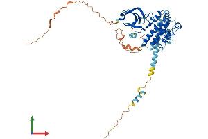 AlphaFold protein structure predicition of Mouse Recombinant Mknk1 Protein, UniprotID O08605
