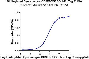 CD3E & CD3G (AA 22-117) protein (Fc Tag,Biotin)