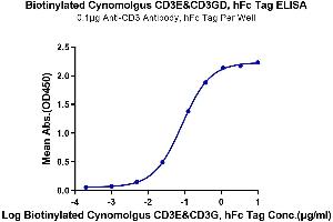 Immobilized Anti-CD3 Antibody, hFc Tag at 1 μg/mL (100 μL/well) on the plate. (CD3E & CD3G (AA 22-117) protein (Fc Tag,Biotin))