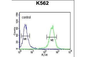 anti-Elongator Acetyltransferase Complex Subunit 6 (ELP6) (AA 223-252), (C-Term) antibody