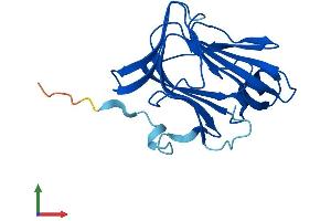AlphaFold protein structure predicition of Mouse Recombinant Cfap20 Protein, UniprotID Q8BTU1