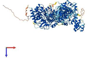 AlphaFold protein structure predicition of Mouse Recombinant Phkb Protein, UniprotID Q7TSH2