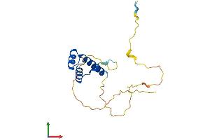 AlphaFold protein structure predicition of Mouse Recombinant Dlx6 Protein, UniprotID P70397