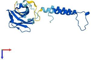 AlphaFold protein structure predicition of Human Recombinant HIKESHI Protein, UniprotID Q53FT3