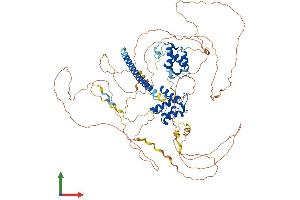 AlphaFold protein structure predicition of Human Recombinant REPS1 Protein, UniprotID Q96D71