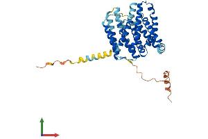 AlphaFold protein structure predicition of Human Recombinant SLC35F2 Protein, UniprotID Q8IXU6