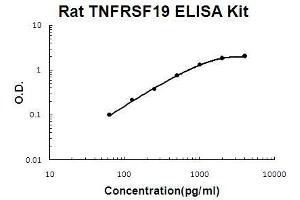 Rat TNFRSF19/TROY PicoKine ELISA Kit standard curve (TNFRSF19 Kit ELISA)