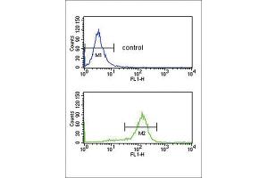 Flow Cytometry (FACS) image for anti-DEAD (Asp-Glu-Ala-Asp) Box Polypeptide 39 (DDX39) antibody (ABIN3003892) (BAT1 anticorps)
