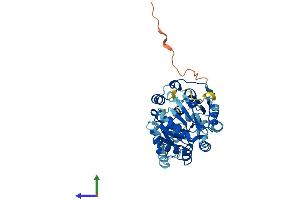 AlphaFold protein structure predicition of Human Recombinant EIF4A2 Protein, UniprotID Q14240