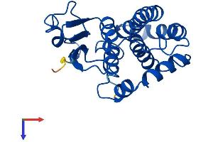 AlphaFold protein structure predicition of Mouse Recombinant Gstm5 Protein, UniprotID P48774