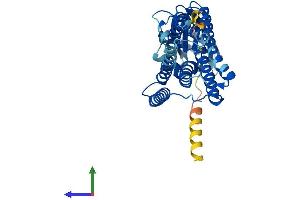 AlphaFold protein structure predicition of Mouse Recombinant Ctns Protein, UniprotID P57757