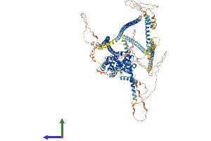 AlphaFold protein structure predicition of Human Recombinant PPFIA1 Protein, UniprotID Q13136