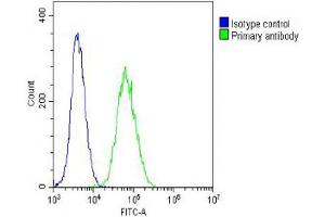 Overlay histogram showing NIH/3T3 cells stained with (ABIN6242235 and ABIN6578662) (green line).