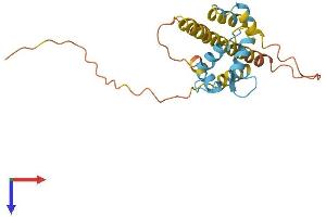 AlphaFold protein structure predicition of Mouse Recombinant Cabp7 Protein, UniprotID Q91ZM8