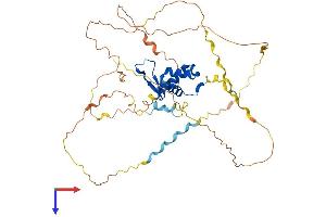 AlphaFold protein structure predicition of Human Recombinant FOXB2 Protein, UniprotID Q5VYV0