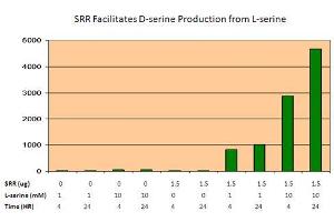 Bioactivity measured with Activity Assay