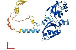 AlphaFold protein structure predicition of Mouse Recombinant Sdcbp2 Protein, UniprotID Q99JZ0