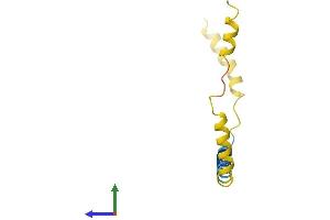 AlphaFold protein structure predicition of Mouse Recombinant Dexi Protein, UniprotID Q9WUQ7